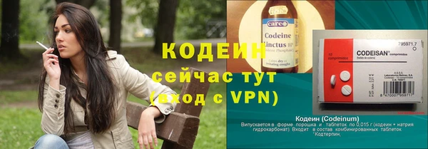СК Медвежьегорск