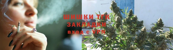СК Медвежьегорск