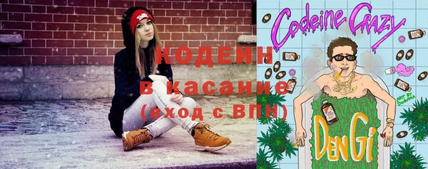 СК Медвежьегорск