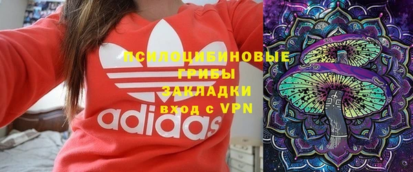 СК Медвежьегорск