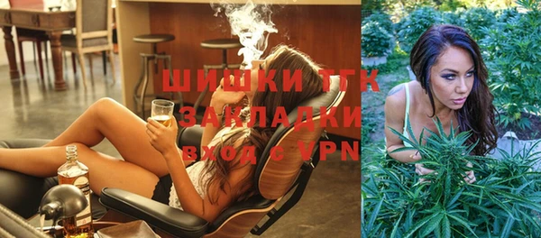 СК Медвежьегорск