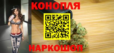 прущие грибы Пенза