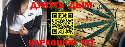 прущие грибы Пенза
