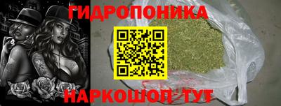 прущие грибы Пенза