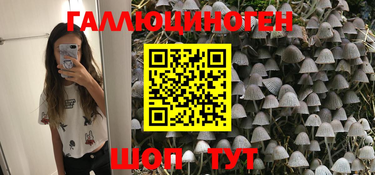 Галлюциногенные грибы GOLDEN TEACHER Лобня