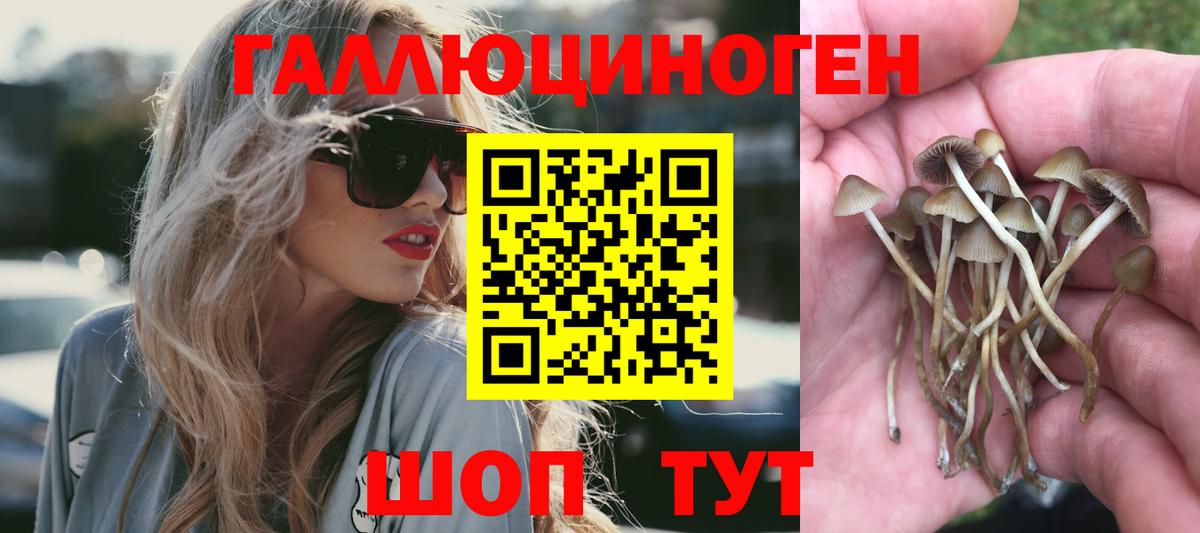 Лобня  Псилоцибиновые грибы MAGIC MUSHROOMS  Вход с VPN 